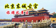胸大美女被摸胸吃奶艹逼吃大鸡巴中国北京-东城古宫旅游风景区